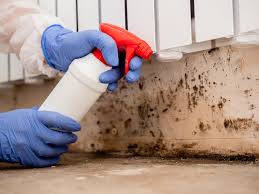 Best Mold Remediation for Healthcare Facilities in Dexter, GA